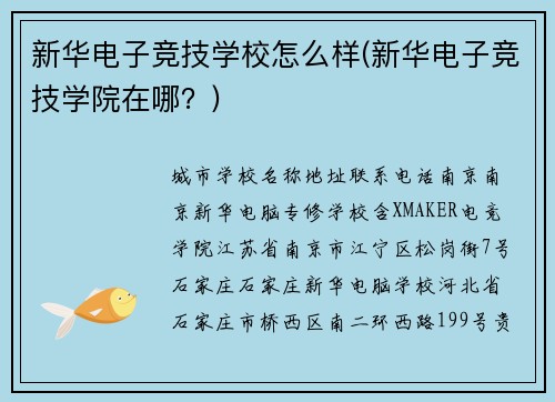 新华电子竞技学校怎么样(新华电子竞技学院在哪？)